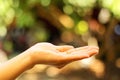 Human open empty hands with palms up on nature bokeh background
