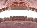 Human oral cavity. Inside an open mouth. Jaw with teeth inside view. Healthy teeth. Dental care and orthodontic concept. 3D