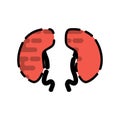 Human organ flat icon Royalty Free Stock Photo