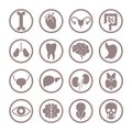 Human organ icons. Lungs and kidneys, heart and brain. Stomach and liver, intestines and bladder internal organ vector Royalty Free Stock Photo