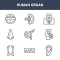 9 human organ icons pack. trendy human organ icons on white background. thin outline line icons such as ear, penis, spleen . human