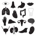 Human Organ Icons Set Royalty Free Stock Photo