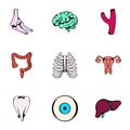 Human organ icons set, cartoon style Royalty Free Stock Photo