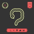 Human organ - the large intestine icon . Graphic elements for your design