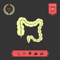 Human organ - the large intestine . Graphic elements for your design