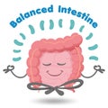 Human organ mascot balanced intestine, in harmony with probiotics. Ideal for training and educational