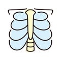 Human organ rib cage flat icon, vector illustration Royalty Free Stock Photo