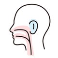 Human organ throat ear nose flat icon, vector illustration Royalty Free Stock Photo