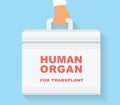 Human organ for transplant bag. Transplantation conceptual illustration.