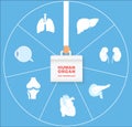 Human organ for transplant icon set. Transplantation of organs concept.