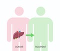 Human organ transplantation concept