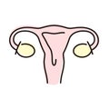 Human organ uterus flat icon, vector illustration