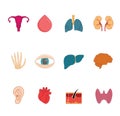 Human organ vector icons. Clean, modern anatomy icon set