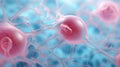 Human organism cell, human embryo, macro photo. Blue and pink colors