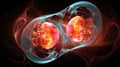 Human organism cell, human embryo, macro photo. In vitro fertilization and fertility research