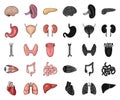 Human organs cartoon,black icons in set collection for design. Anatomy and internal organs vector symbol stock web Royalty Free Stock Photo