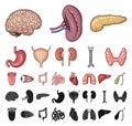 Human organs cartoon, black icons in set collection for design. Anatomy and internal organs vector symbol stock web Royalty Free Stock Photo