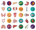 Human organs cartoon,flat icons in set collection for design. Anatomy and internal organs vector symbol stock web Royalty Free Stock Photo