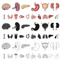 Human organs cartoon icons in set collection for design. Anatomy and internal organs vector symbol stock web Royalty Free Stock Photo