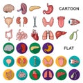 Human organs cartoon icons in set collection for design. Anatomy and internal organs vector symbol stock web Royalty Free Stock Photo