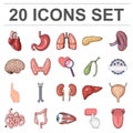 Human organs cartoon icons in set collection for design. Anatomy and internal organs vector symbol stock web Royalty Free Stock Photo