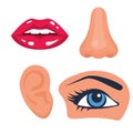 Human organs and face parts, collection set, lips, nose, eye, ear.