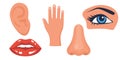 Human organs and face parts and hand, collection set, lips, nose, eye, ear.