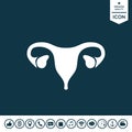 Human organs. Female uterus icon