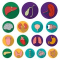 Human organs flat icons in set collection for design. Anatomy and internal organs vector symbol stock web illustration. Royalty Free Stock Photo