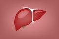Human organs ; a full of liver