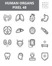 Human organs icon set vector. Throat, syringe, hospital are shown. Kidneys, liver, heart, intestine outline symbol for