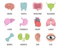 Human organs icons with descriptions. Brain, tooth, ear, intestines, stomach, nose, liver, bladder, heart, bone, hand