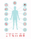 Human organs icons with male figure infographics set .