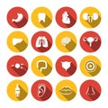 Human Organs Icons