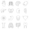 Human organs icons set, outline style Royalty Free Stock Photo