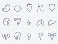 Human organs icons set