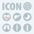 Human organs icons, vector