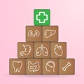 Human Organs Icons On Wooden Blocks Isolated On A White Background. Vector Illustration. Royalty Free Stock Photo