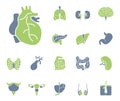 Human Organs - Iconset - Icons