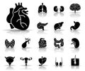 Human Organs - Iconset - Icons