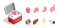 Human Organs Isometric Set Royalty Free Stock Photo