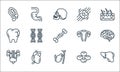 human organs line icons. linear set. quality vector line set such as liver, gallbladder, urinary, blood cells, heart, tooth,