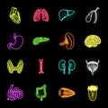 Human organs neon icons in set collection for design. Anatomy and internal organs vector symbol stock web illustration.