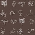 Human organs seamless pattern. Pattern on the medical theme of the organs Lungs, Uterus, stomach, heart, liver