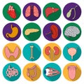 Human organs set icons in flat style. Big collection of human organs vector symbol stock illustration Royalty Free Stock Photo