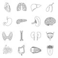 Human organs set icons in outline style. Big collection of human organs vector symbol Royalty Free Stock Photo