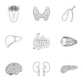 Human organs set icons in outline style. Big collection of human organs vector symbol stock illustration Royalty Free Stock Photo