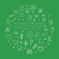 Human organs thin icons Royalty Free Stock Photo