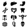 Human organs vector black icons set