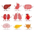 Human organs vector cartoon characters illustration in flat design. Cute smiling healthy organs icon set isolated on Royalty Free Stock Photo